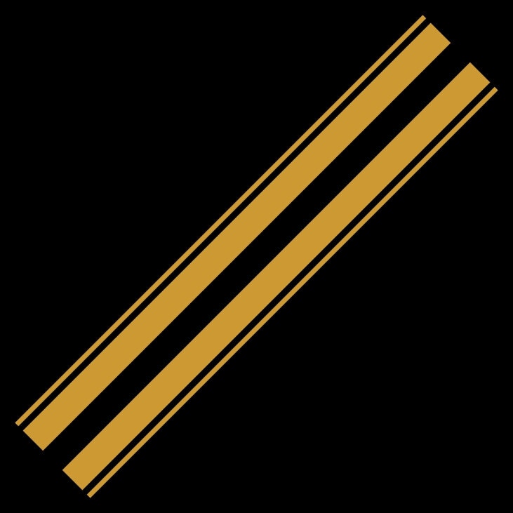 Conjunto de 2 peças de decalque de capuz de corrida preto listras decalques de corrida esportiva. Gráficos de faixa de capô de estilo