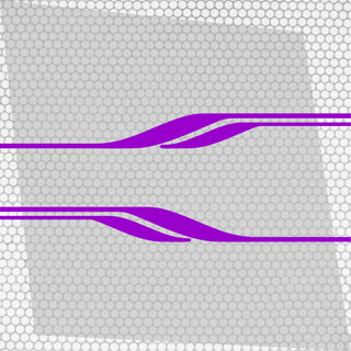 Set 2 Pcs Vehicle Stripes Auto Graphics