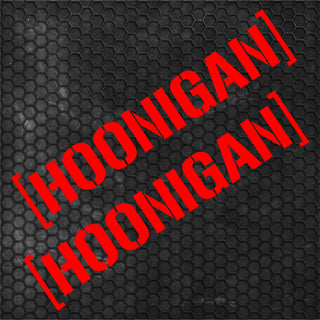 Set 2 Pcs HQ Hoonigan Emblem Graphic Decals