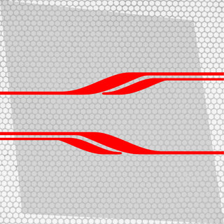 Set 2 Pcs Vehicle Stripes Auto Graphics